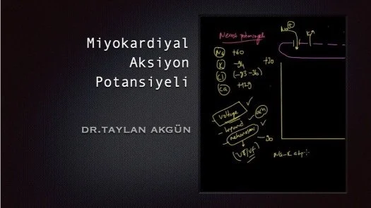 ⁣Miyokardiyal Aksiyon Potansiyeli