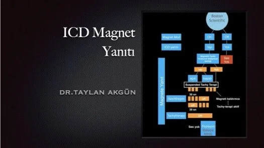 ICD Magnet Yanıtı