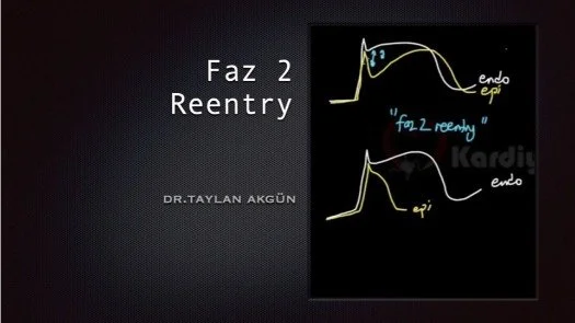 ⁣Faz 2 Reentry