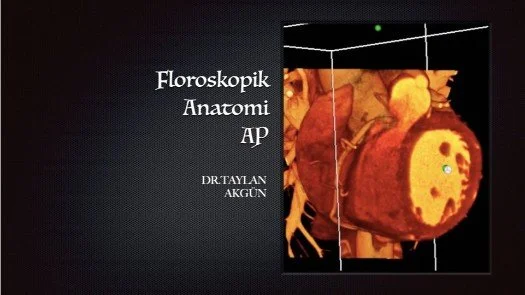 ⁣Floroskopik Anatomi-AP