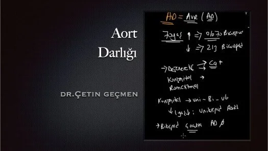 Aort Darlığı