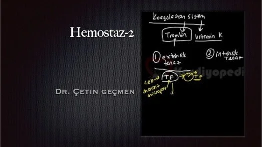 Hemostaz-2
