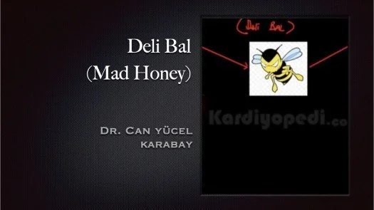 Deli Bal (Mad Honey)