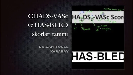 CHADS-VASc ve HAS-BLED skorları tanımı