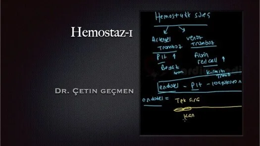 ⁣Hemostaz-1