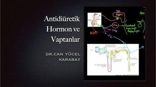 Antidiüretik Hormon ve Vaptanlar