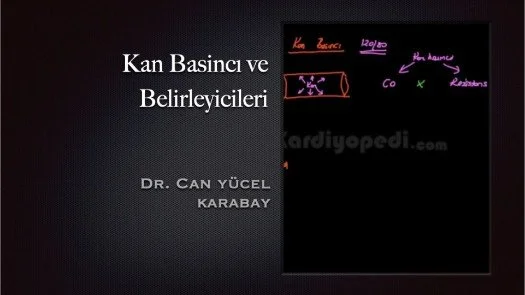 Kan Basincı ve Belirleyicileri