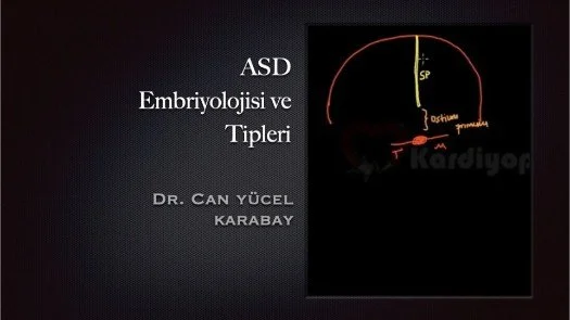 ⁣ASD Embriyolojisi ve Tipleri