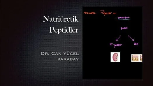 Natriüretik Peptidler