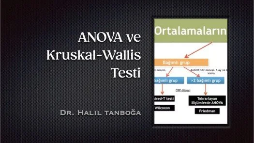⁣ANOVA ve Kruskal-Wallis Testi