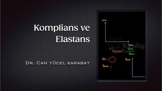 ⁣Komplians ve Elastans